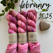 Load image into Gallery viewer, Emma&#39;s  Monthly Club Yarn Super Silky
