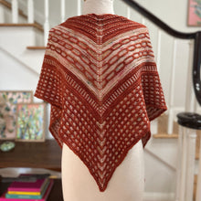 Load image into Gallery viewer, So Swanky Shawl Kit
